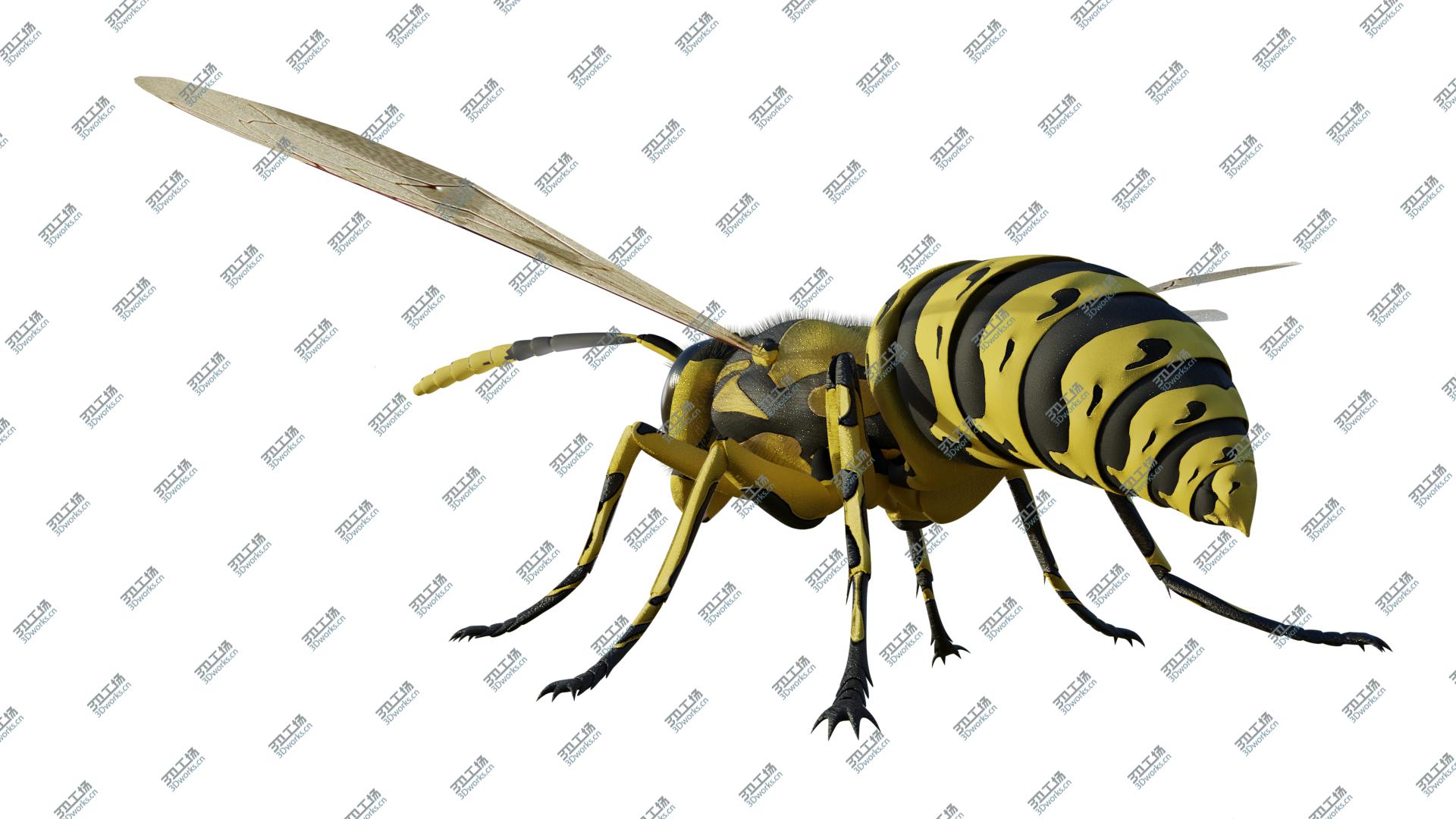 images/goods_img/2021040232/Wasp 3D/5.jpg